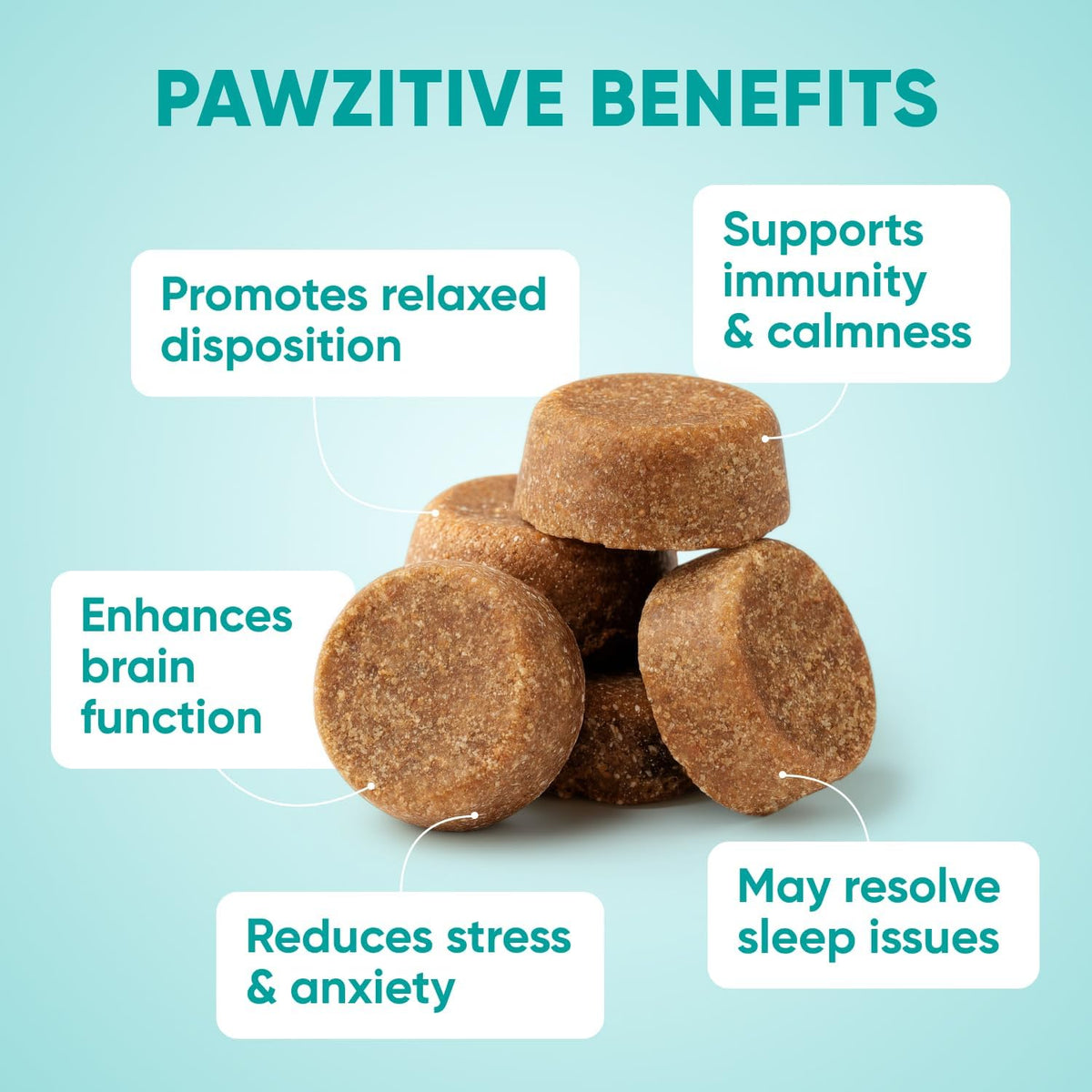 Pawzitive Pets Hemp Calming Chews for Dogs – 4 Options