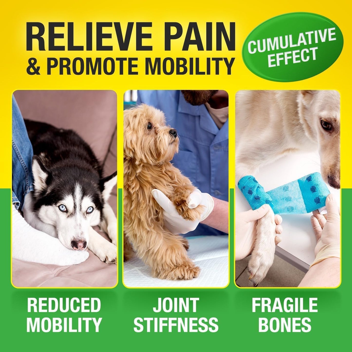 Dog Joint Supplement Glucosamine Chondroitin MSM Omega 3 Chews 120Ct