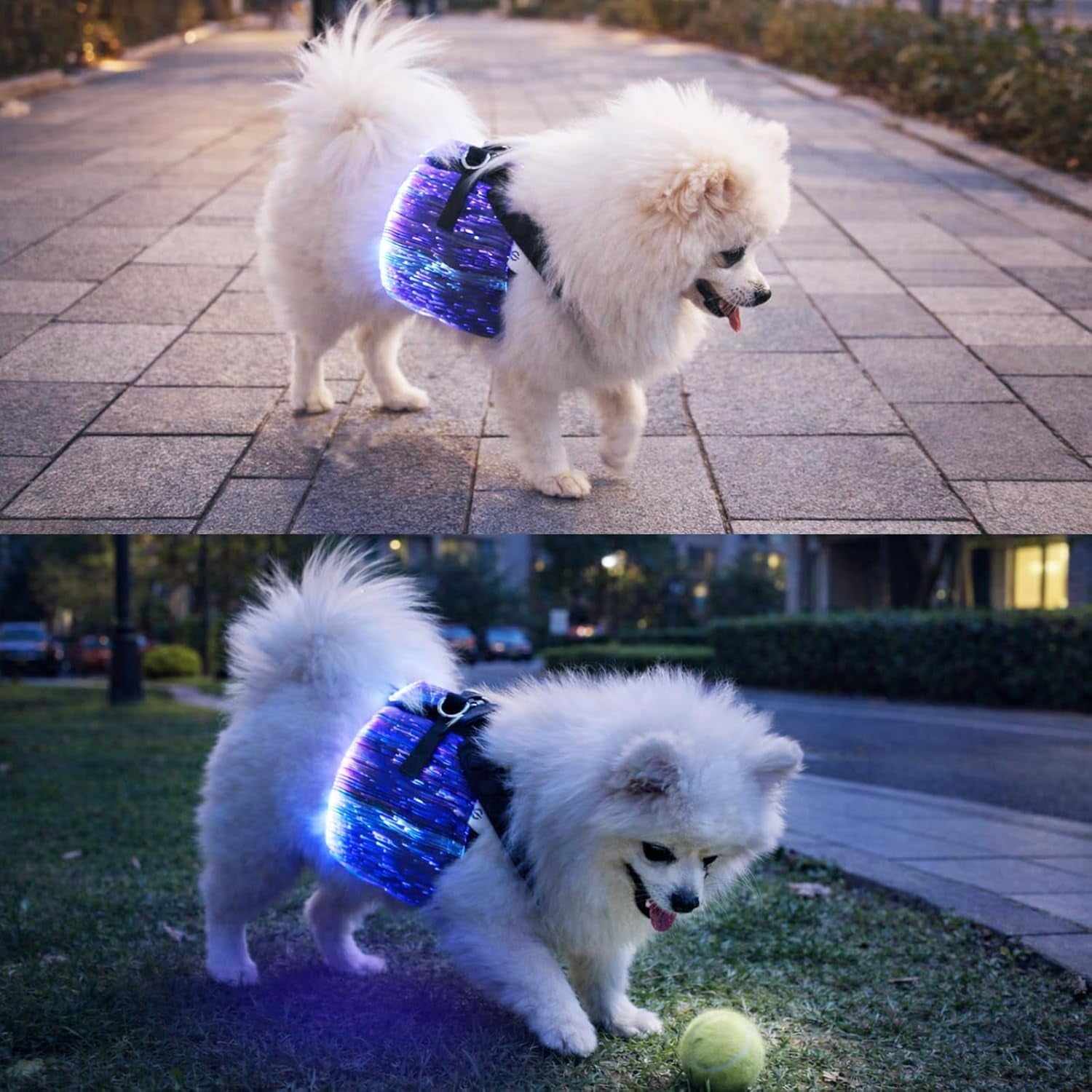 LED Dog Harness Light Up Fiber Optic Remote Control Small Dogs Cats