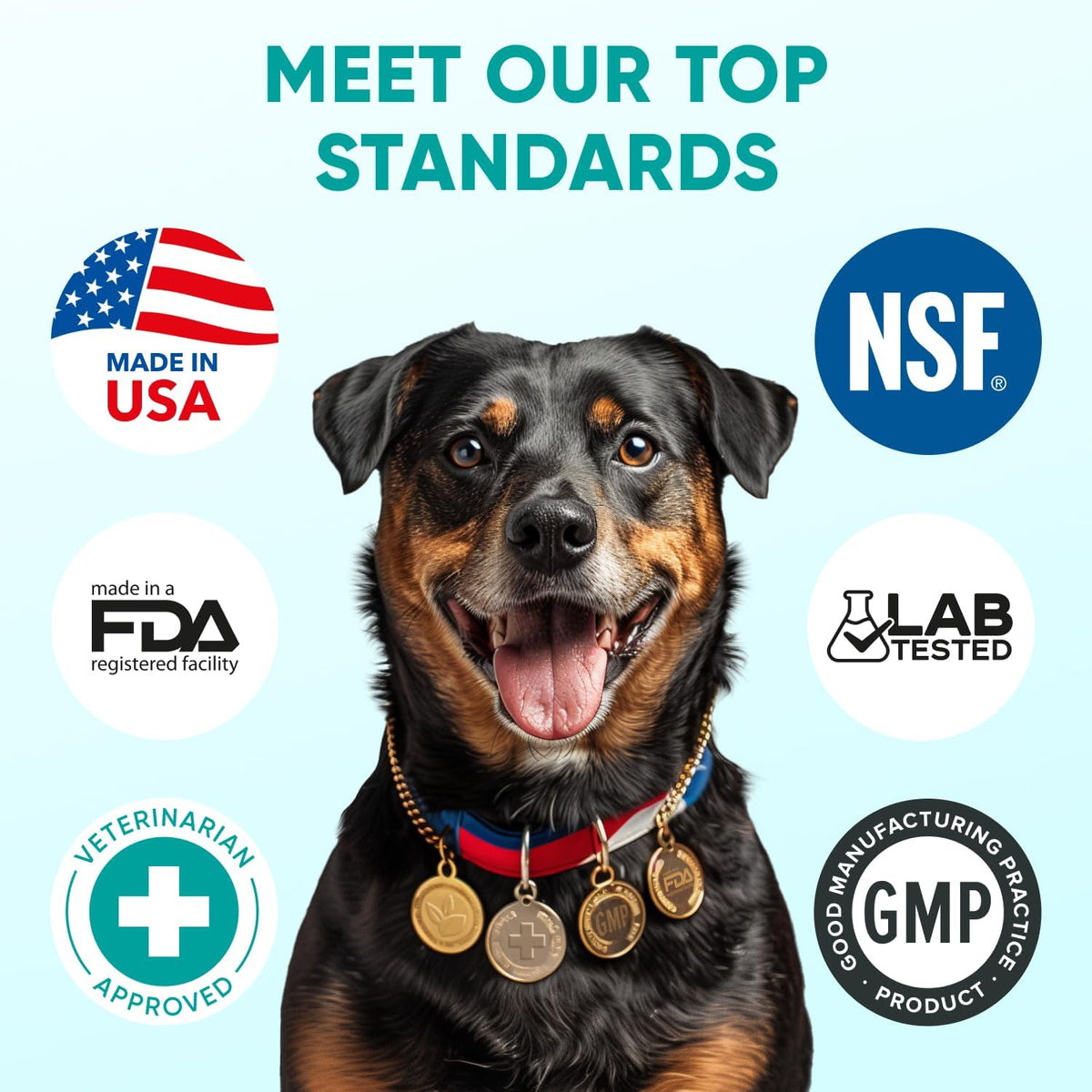 Pawzitive Pets Hemp Calming Chews for Dogs – 4 Options
