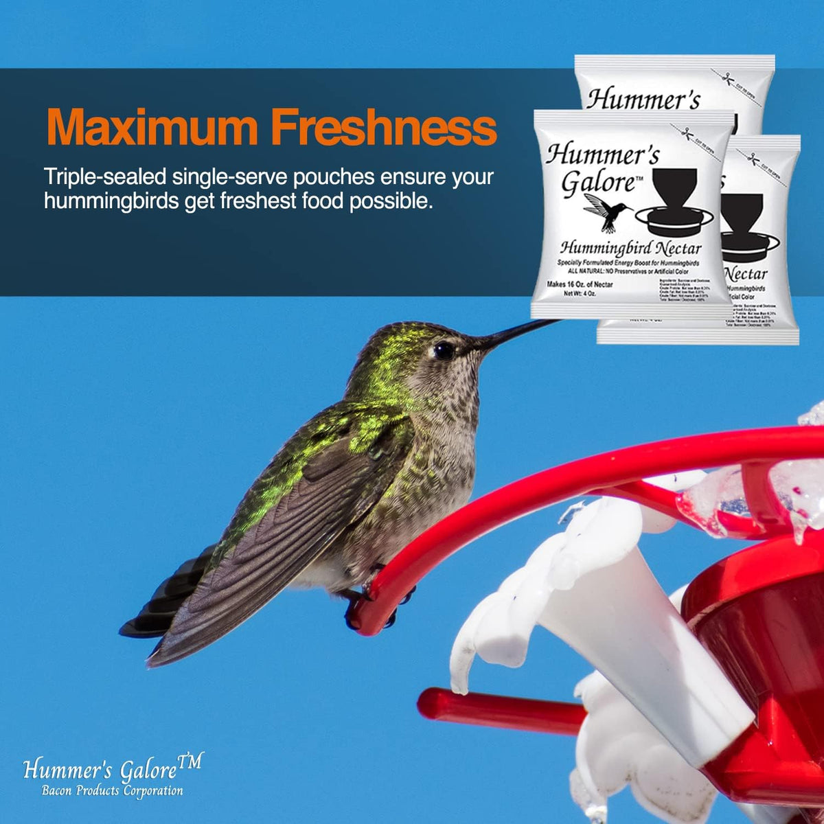 Hummer’s Galore Hummingbird Nectar Mix – Makes 64 oz
