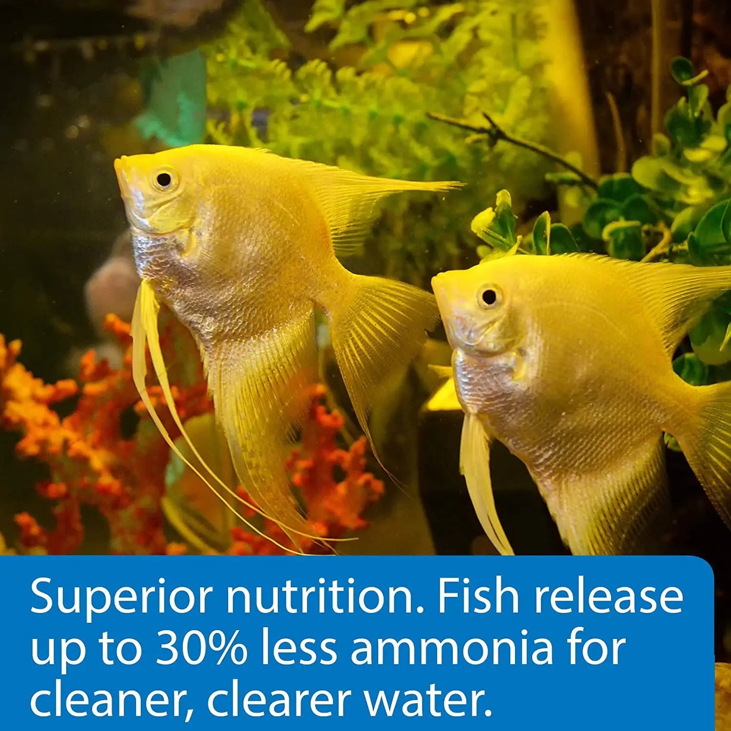 API Tropical Flakes Fish Food 5.7oz High Protein Clean Water Formula