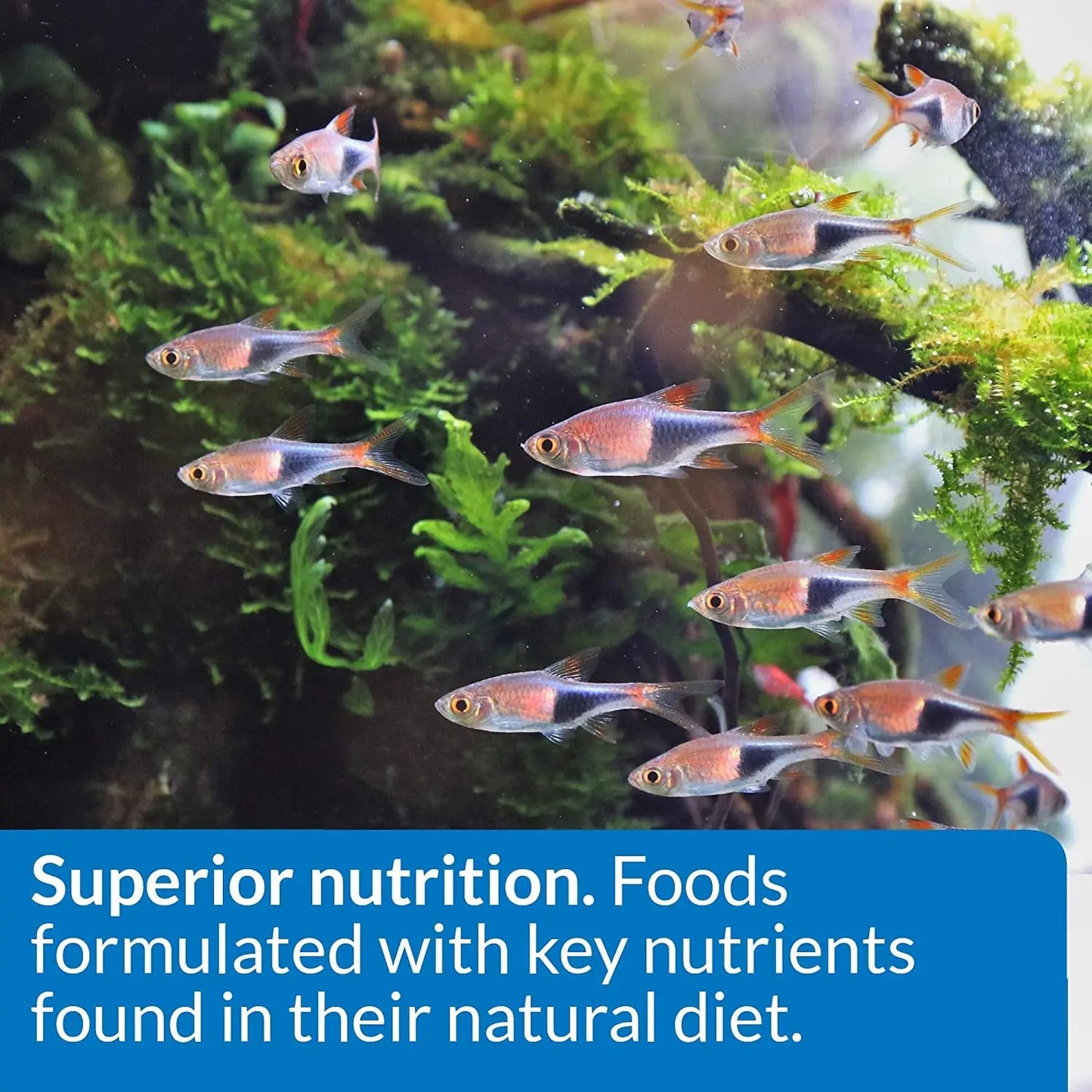 API Tropical Flakes Fish Food 5.7oz High Protein Clean Water Formula