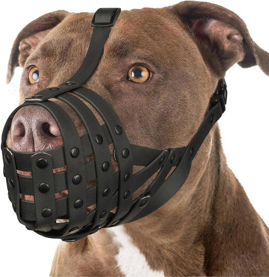 Adjustable Basket Dog Muzzle for Large & Medium Dogs, Lightweight & Breathable Black