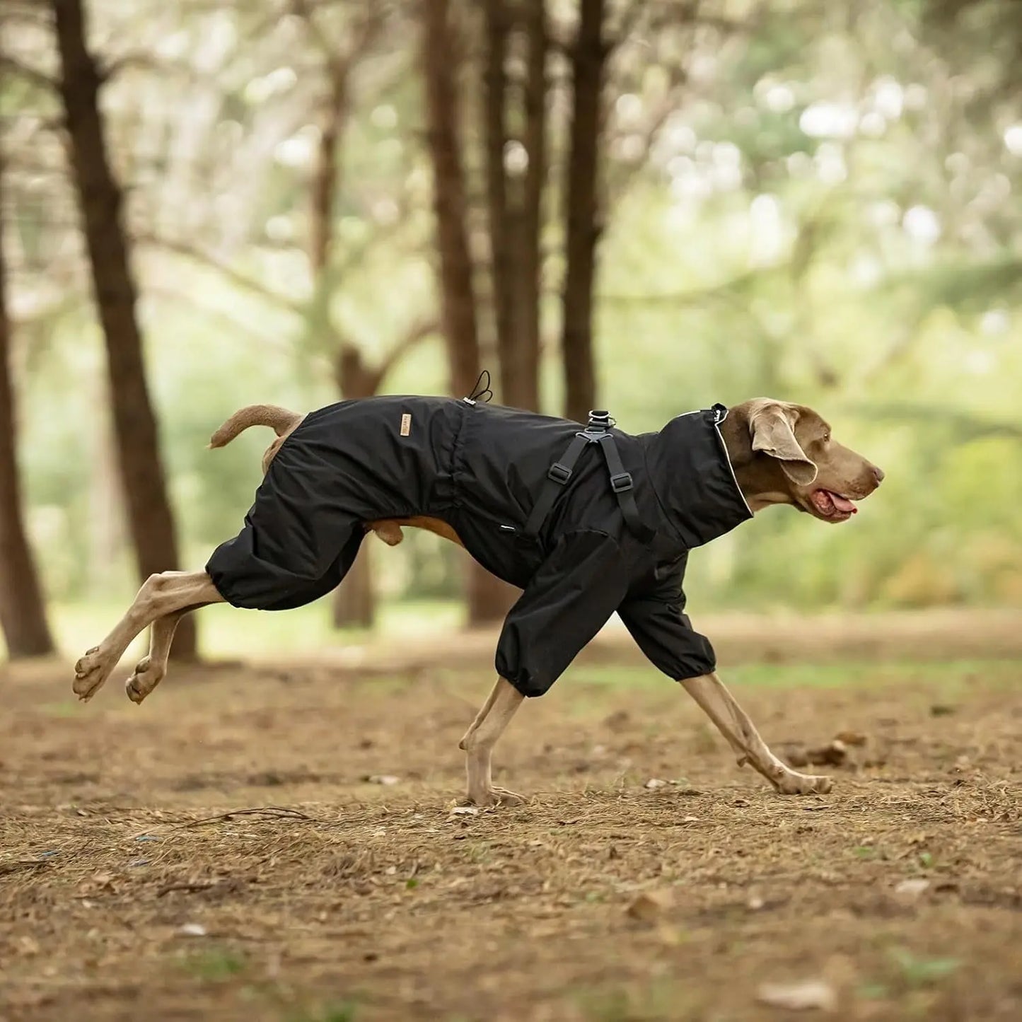 Adjustable Waterproof Dog Raincoat with Harness Reflective 4-Leg Jacket S–5XL