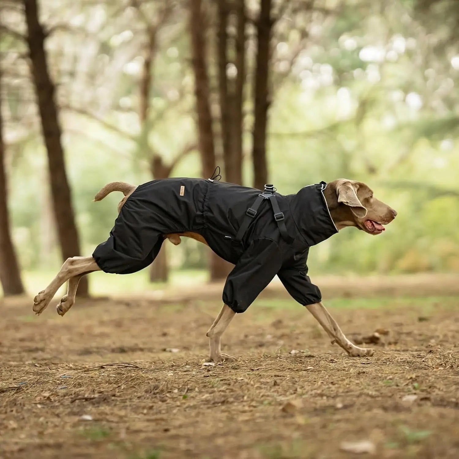 Adjustable Waterproof Dog Raincoat with Harness Reflective 4-Leg Jacket S–5XL