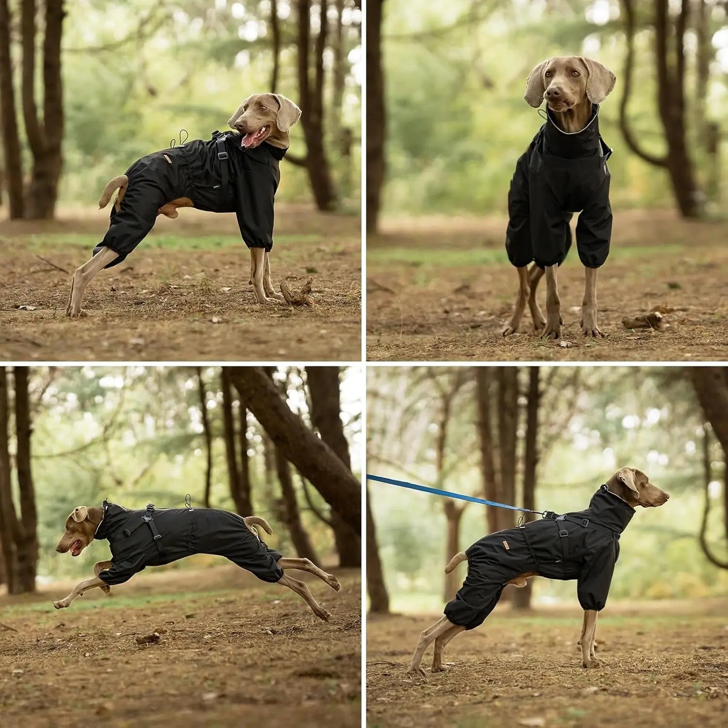 Adjustable Waterproof Dog Raincoat with Harness Reflective 4-Leg Jacket S–5XL
