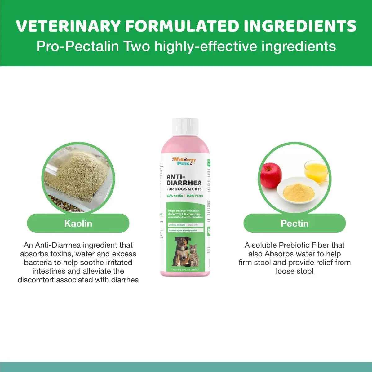Anti Diarrhea Liquid for Dogs - Dog Diarrhea Relief with Kaolin (4 Oz.)