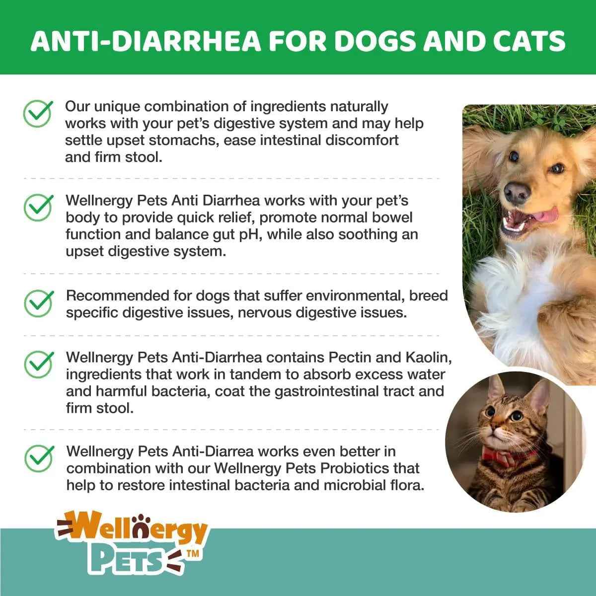 Anti Diarrhea Liquid for Dogs - Dog Diarrhea Relief with Kaolin (4 Oz.)