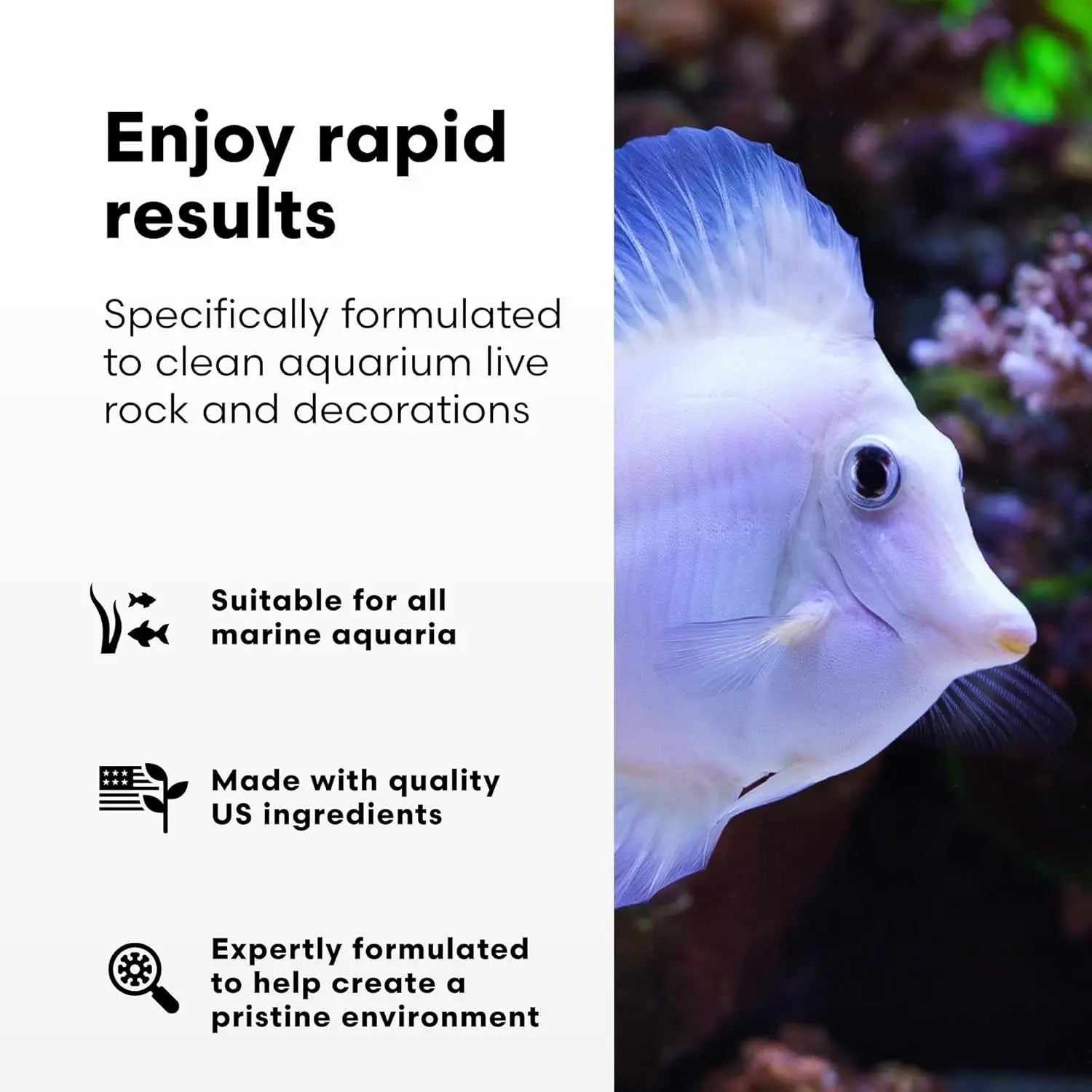 Brightwell MicroBacter Clean Saltwater Aquarium Bacteria Rock Cleaner