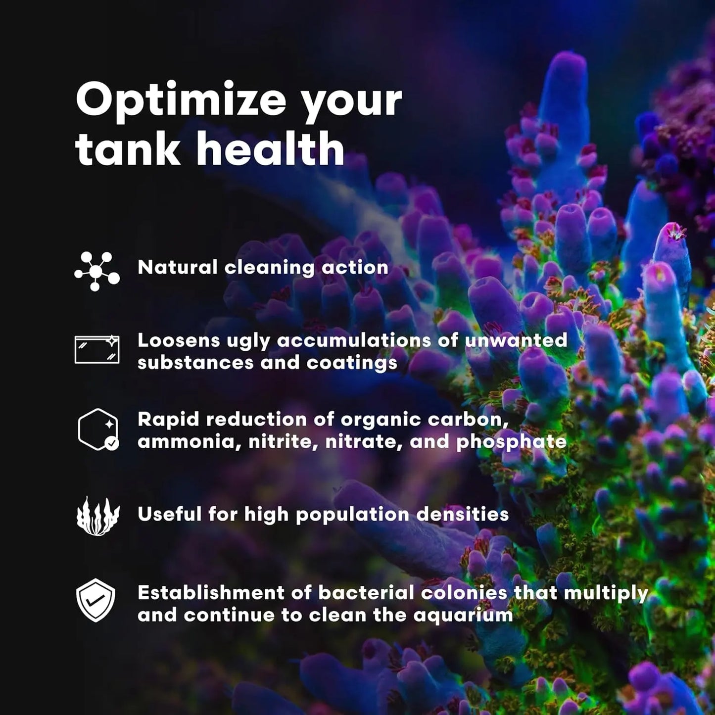 Brightwell MicroBacter Clean Saltwater Aquarium Bacteria Rock Cleaner