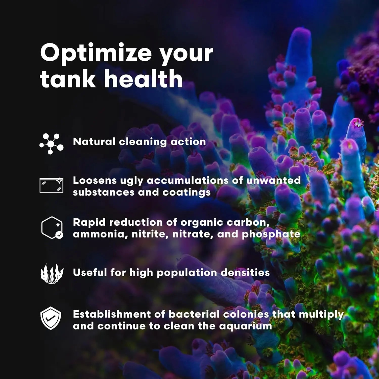 Brightwell MicroBacter Clean Saltwater Aquarium Bacteria Rock Cleaner