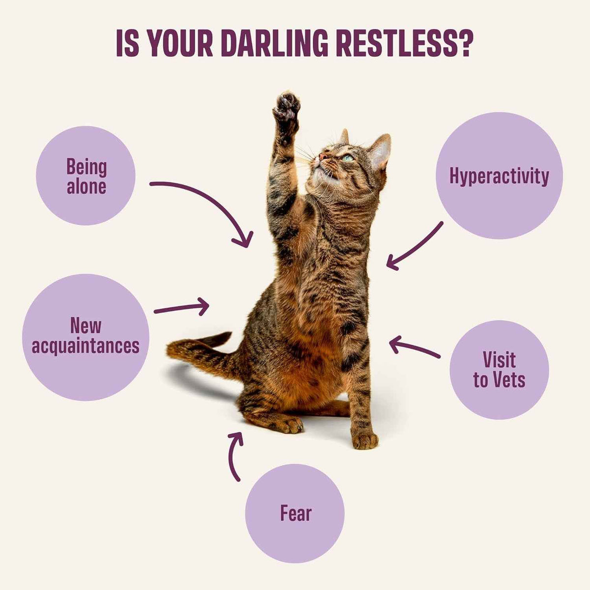 Cat Calming Treats Cream Tuna Stress Relief Tryptophan Magnesium 30 Pack