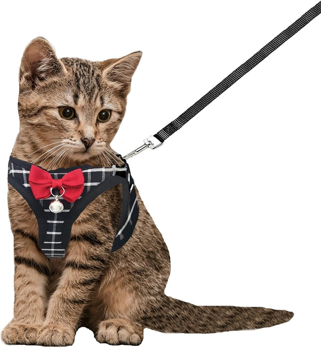 Cat Harness Leash Set Breathable Adjustable Mesh Vest Black Xx-Small