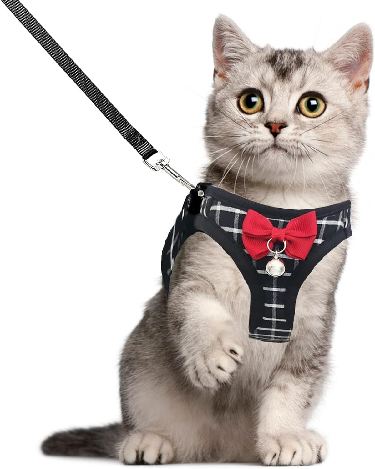 Cat Harness Leash Set Breathable Adjustable Mesh Vest Black S