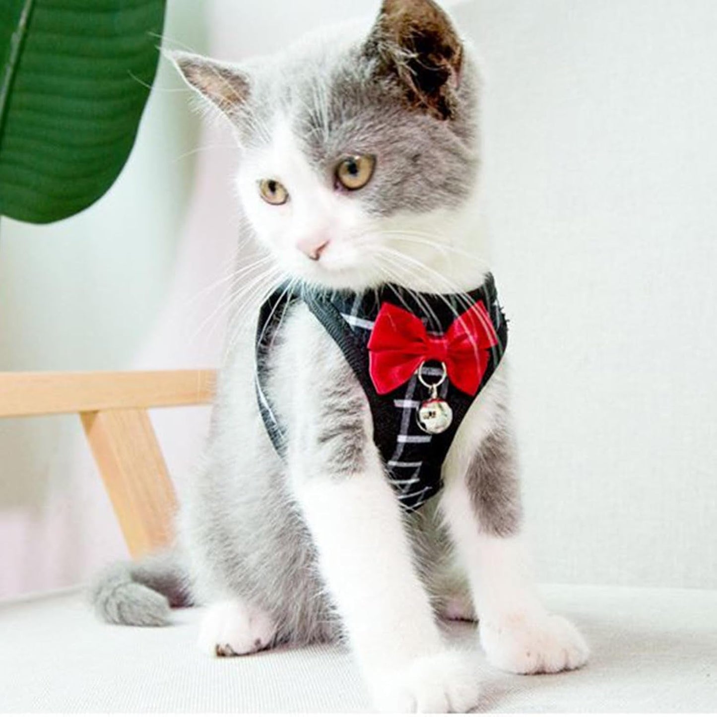Cat Harness Leash Set Breathable Adjustable Mesh Vest Black Xs