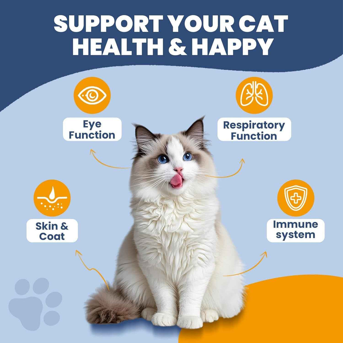 Cat Lysine Paste Immune Respiratory Eye Support Taurine Omega 3 Chicken 60ml