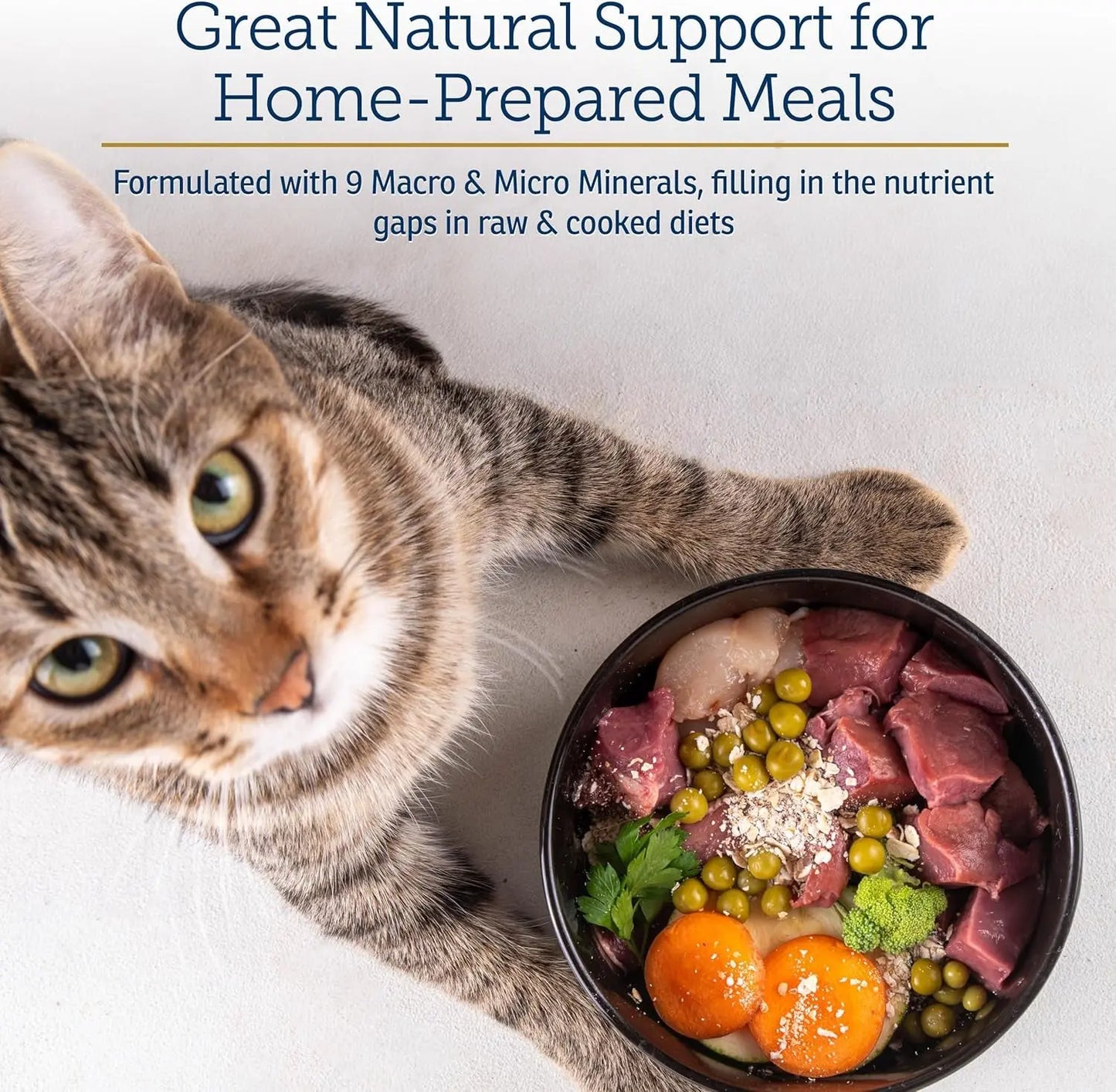 Cat Mineral Supplement Taurine Calcium Immune Joint Support Powder 8oz