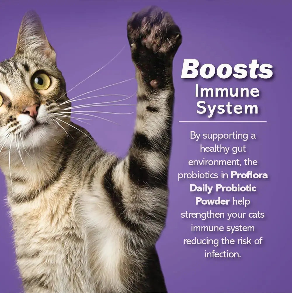Cat Probiotics Digestive Gut Health Immune Support Powder 30 Packets