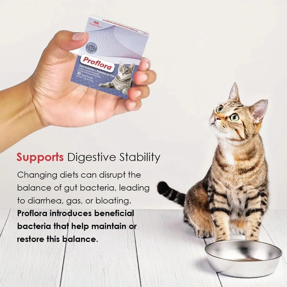 Cat Probiotics Digestive Gut Health Immune Support Powder 30 Packets