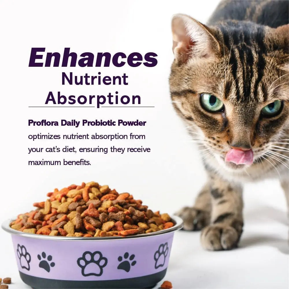 Cat Probiotics Digestive Gut Health Immune Support Powder 30 Packets