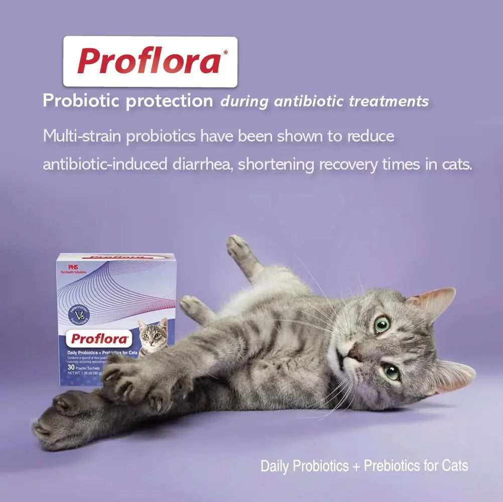 Cat Probiotics Digestive Gut Health Immune Support Powder 30 Packets