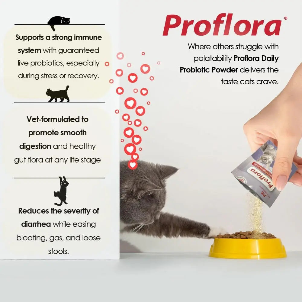 Cat Probiotics Digestive Gut Health Immune Support Powder 30 Packets
