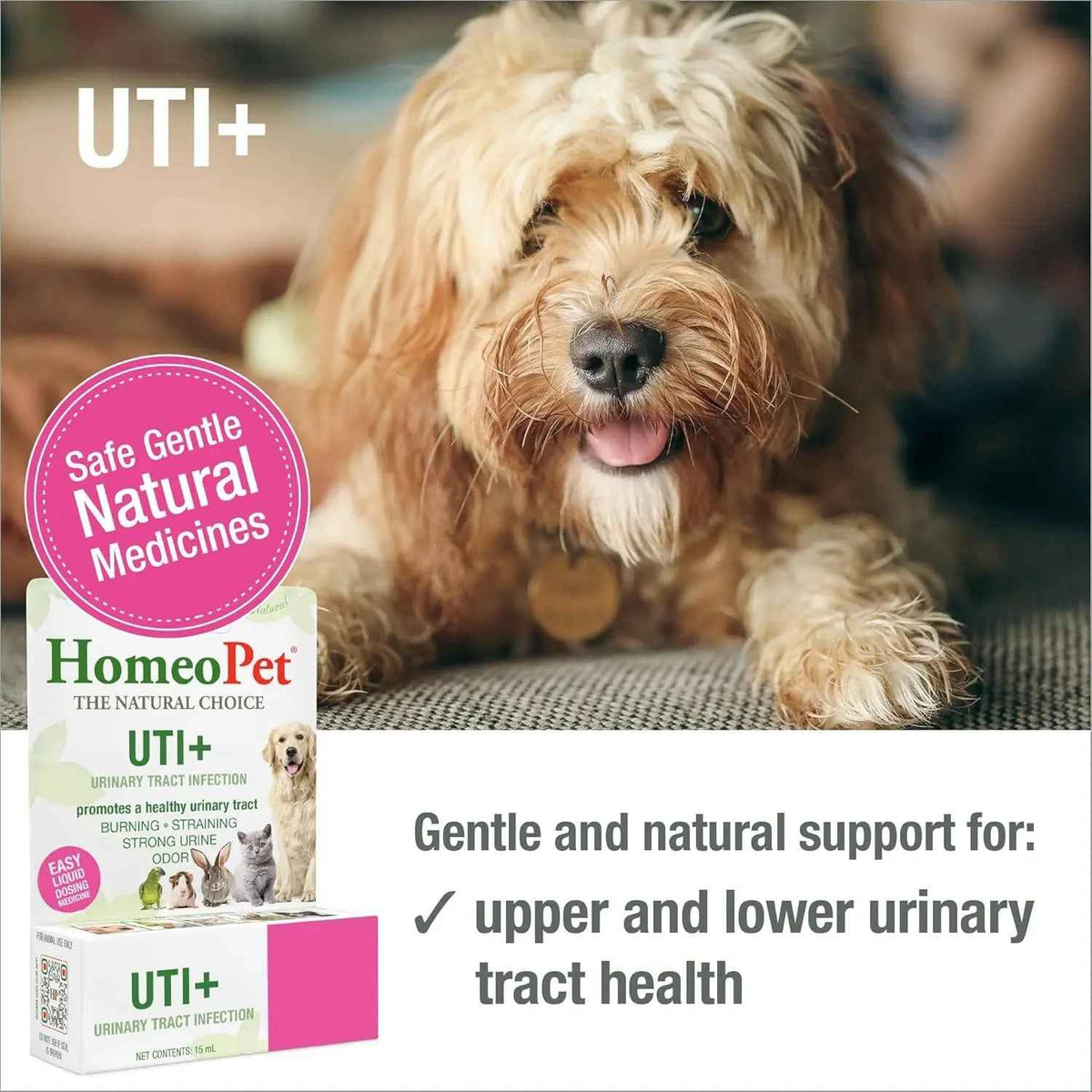 Cat UTI Relief Drops Natural Urinary Tract Support Supplement 15ml