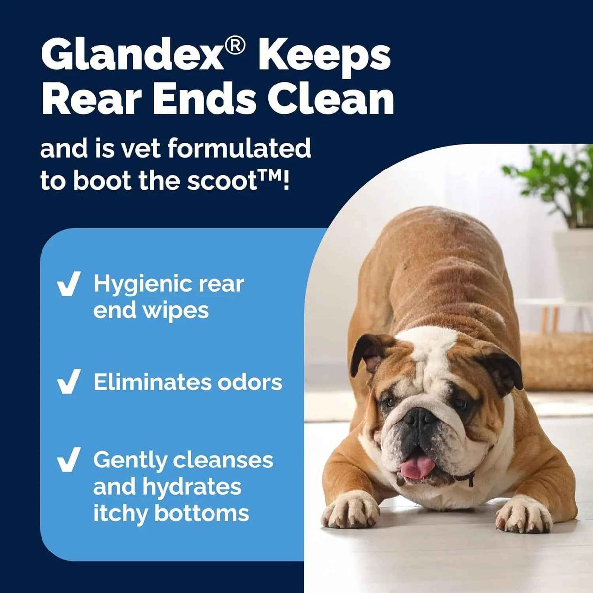 Cat & Dog Anal Gland Wipes Deodorizing Aloe Vitamin E Grooming Wipes 75-100Ct