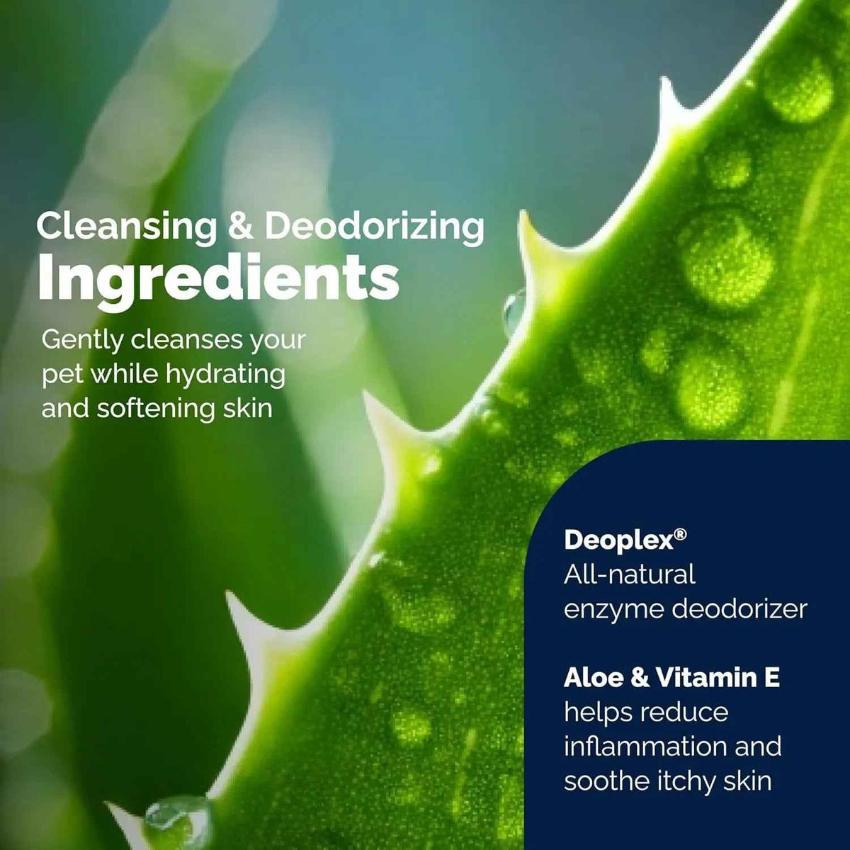 Cat & Dog Anal Gland Wipes Deodorizing Aloe Vitamin E Grooming Wipes 75-100Ct
