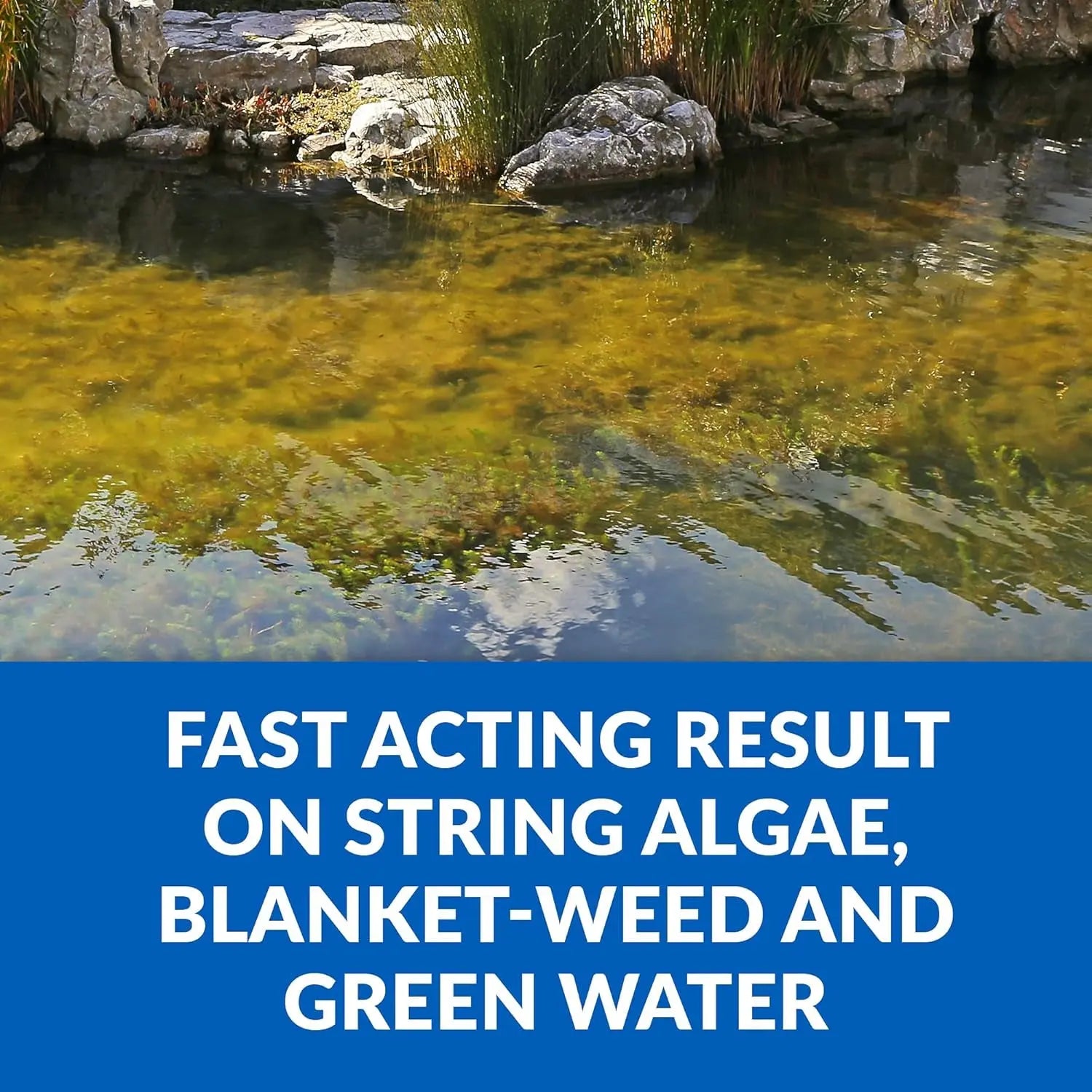 CrystalClear Algae D-Solv Pond Algaecide Fish Safe Treats 16 Ounces