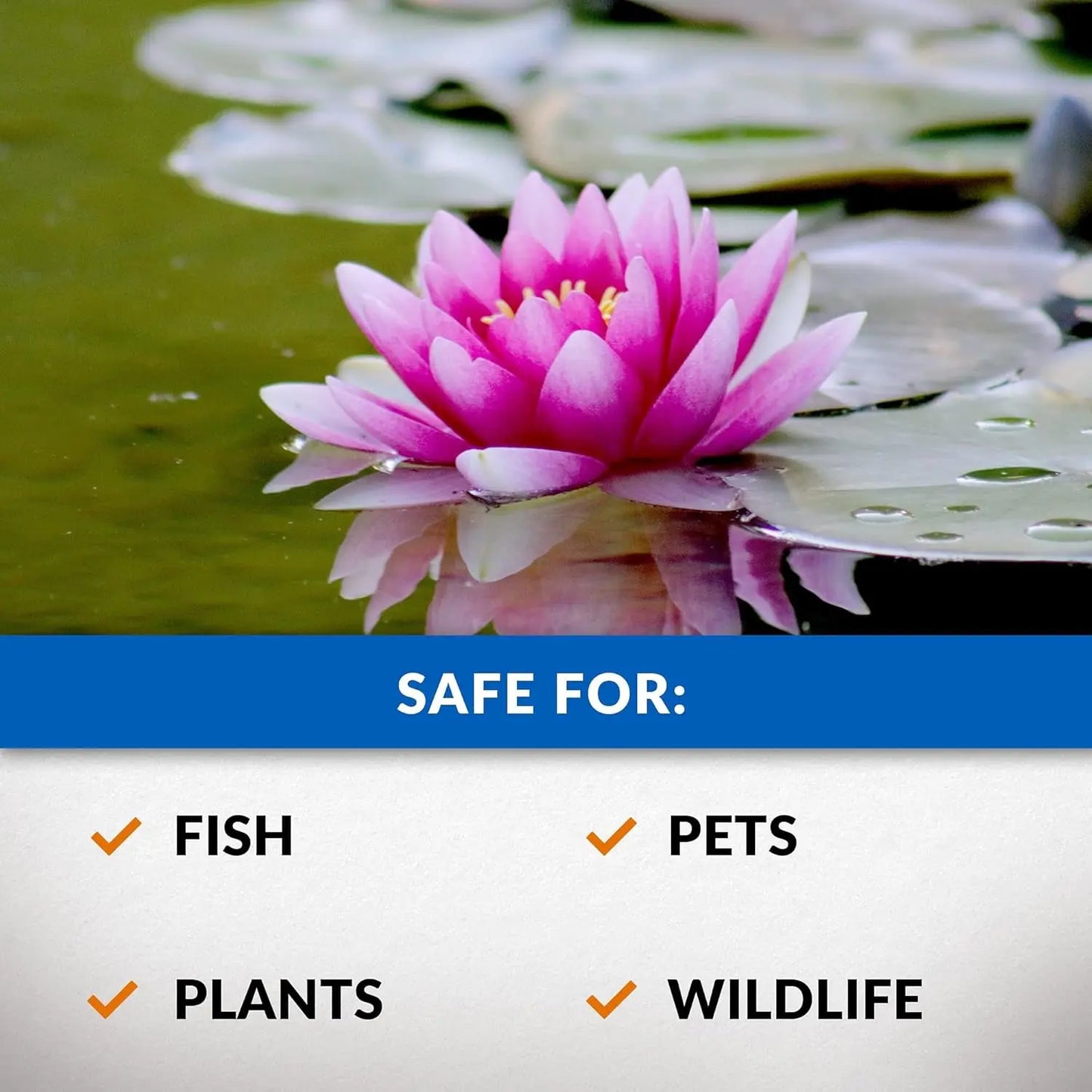 CrystalClear Algae D-Solv Pond Algaecide Fish Safe Treats 16 Ounces