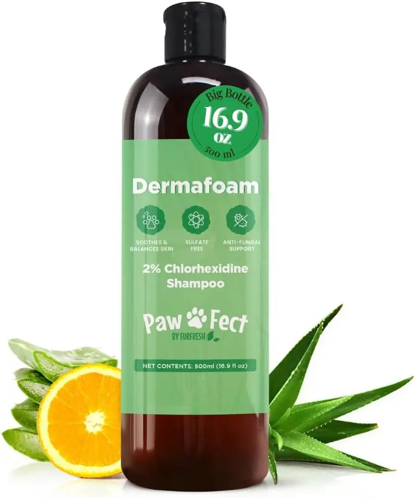 Dermafoam Chlorhexidine Dog Shampoo for Itch Allergies Hot Spots 16.9oz Chlorhexidine Shampoo