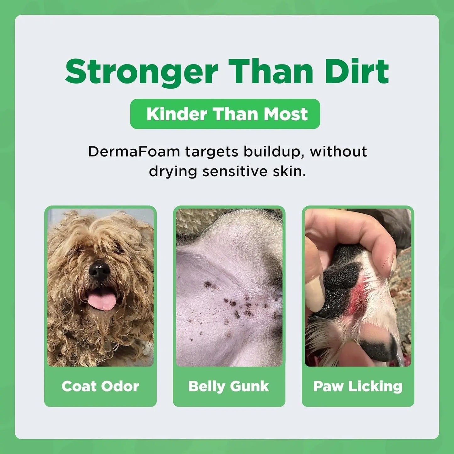 Dermafoam Chlorhexidine Dog Shampoo for Itch Allergies Hot Spots 16.9oz
