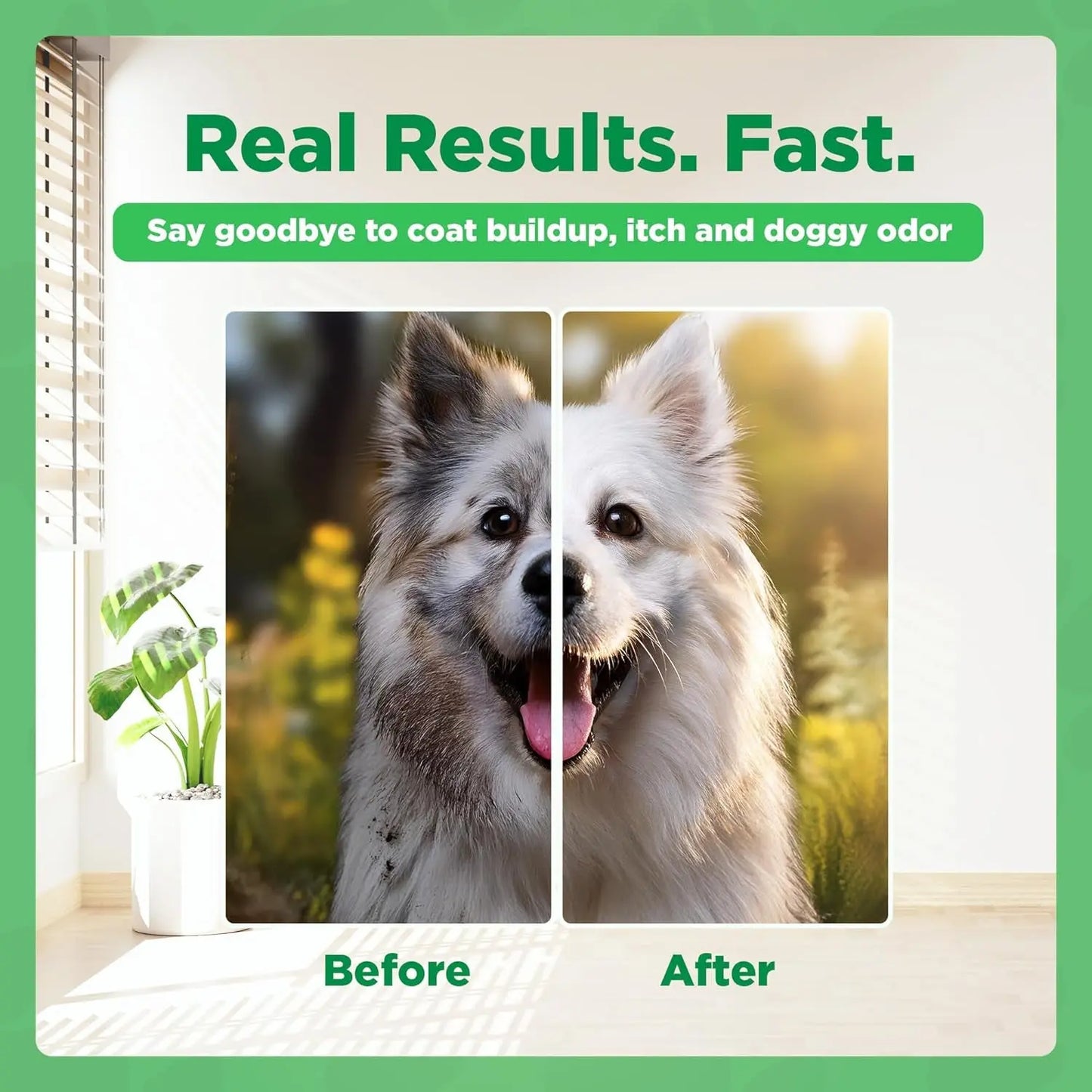 Dermafoam Chlorhexidine Dog Shampoo for Itch Allergies Hot Spots 16.9oz