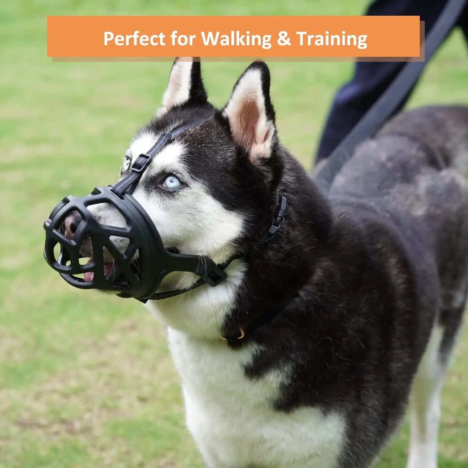 Dog Basket Muzzle Adjustable Humane Anti-Bite Training Muzzle for Dogs