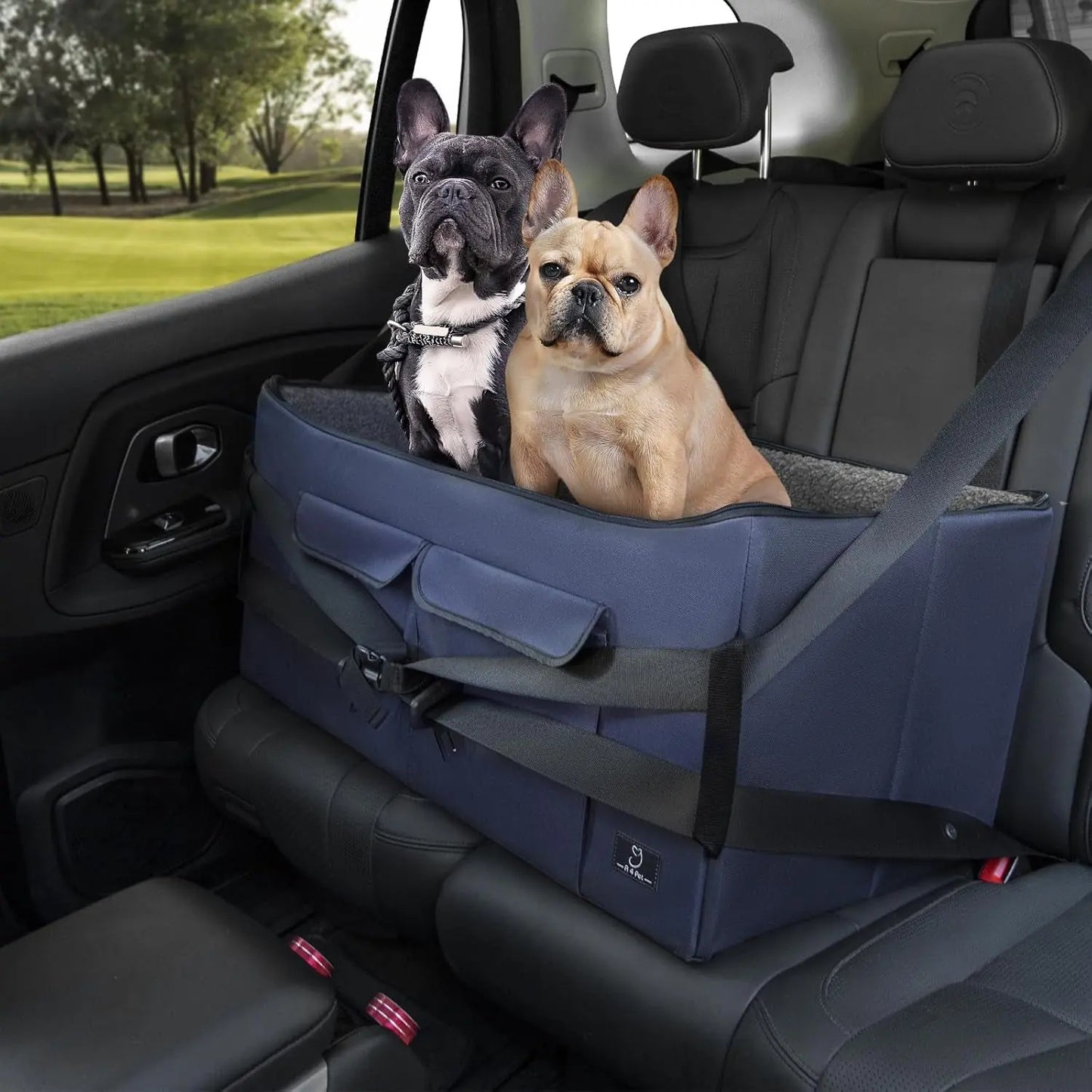 Dog Car Seat Booster for Small Dogs Under 25lbs, Travel Safety Seat with Leash Dark Blue Large