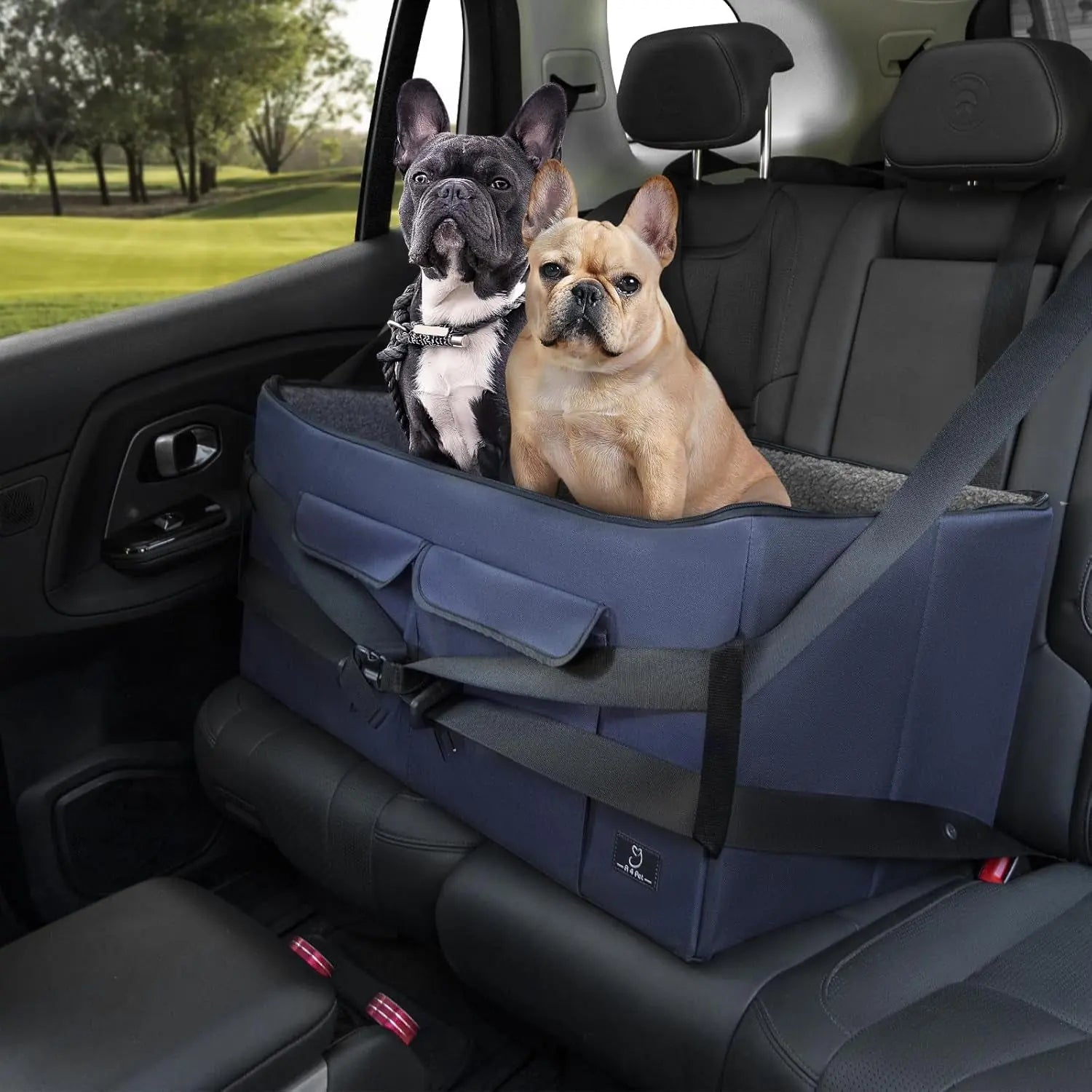Dog Car Seat Booster for Small Dogs Under 25lbs, Travel Safety Seat with Leash Dark Blue Large