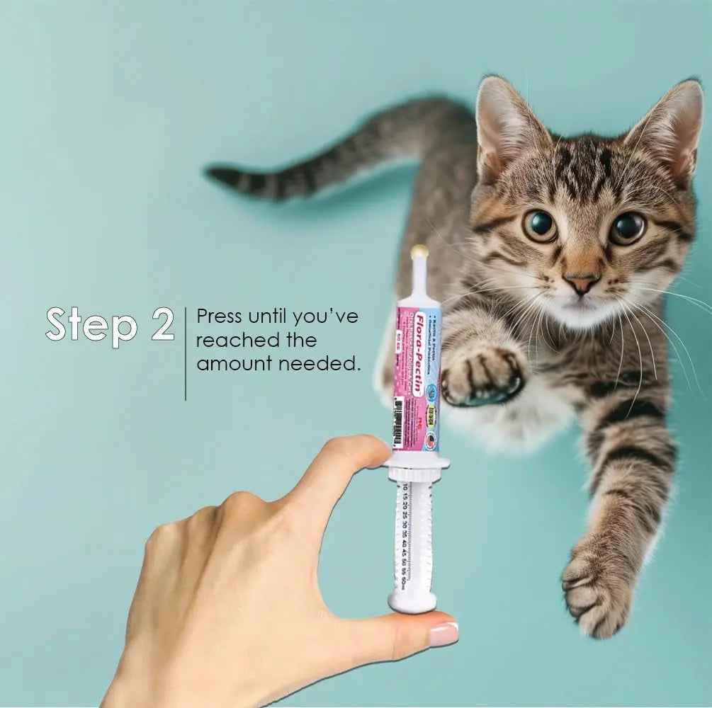 Dog Cat Anti Diarrhea Paste Probiotic Kaolin Pectin Digestive Support
