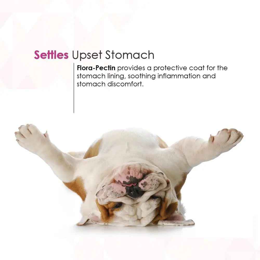 Dog Cat Anti Diarrhea Paste Probiotic Kaolin Pectin Digestive Support