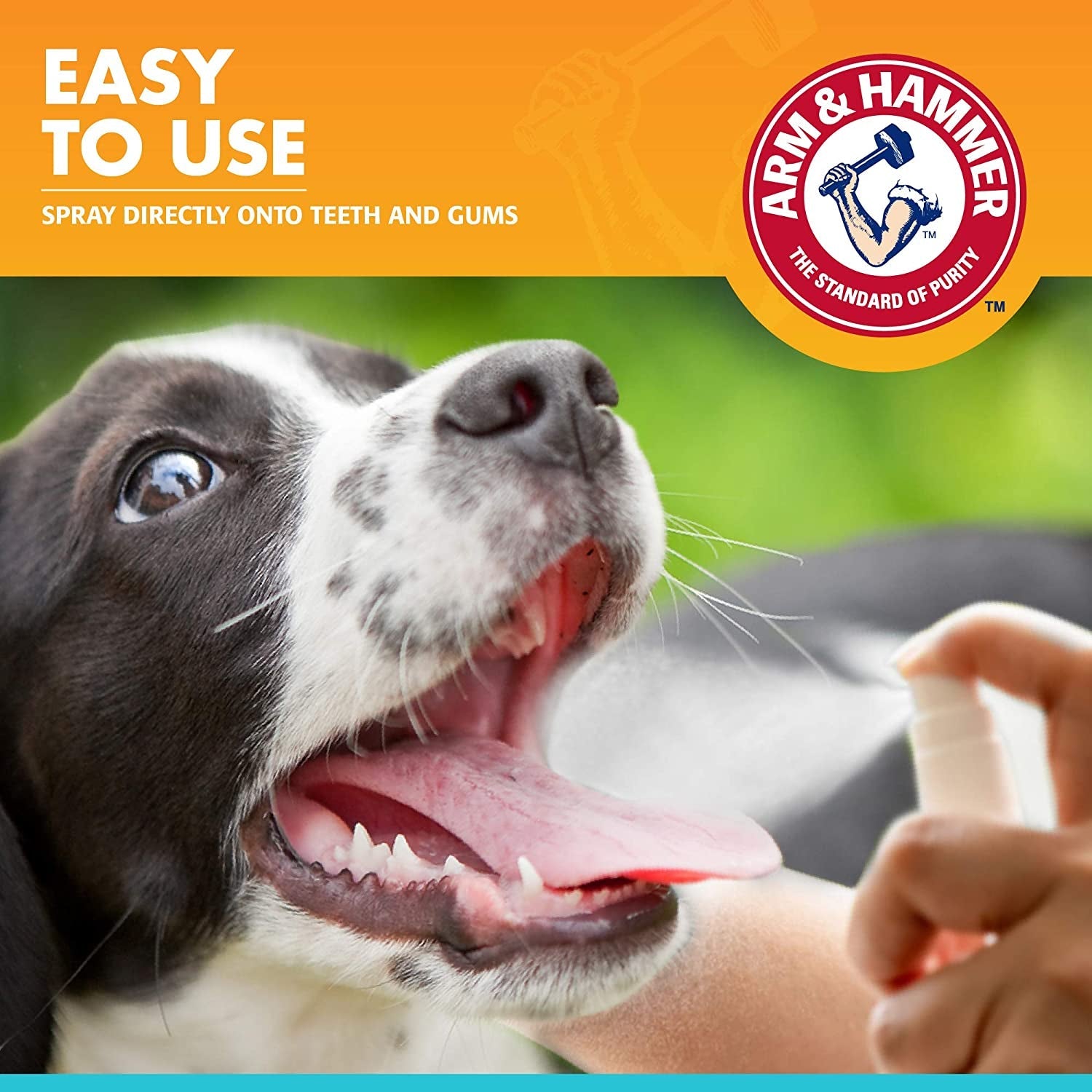 Dog Dental Spray Breath Freshener Plaque Tartar Support Mint 4oz 2 Pack