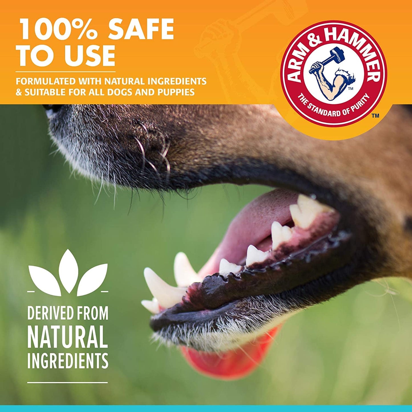Dog Dental Spray Breath Freshener Plaque Tartar Support Mint 4oz 2 Pack