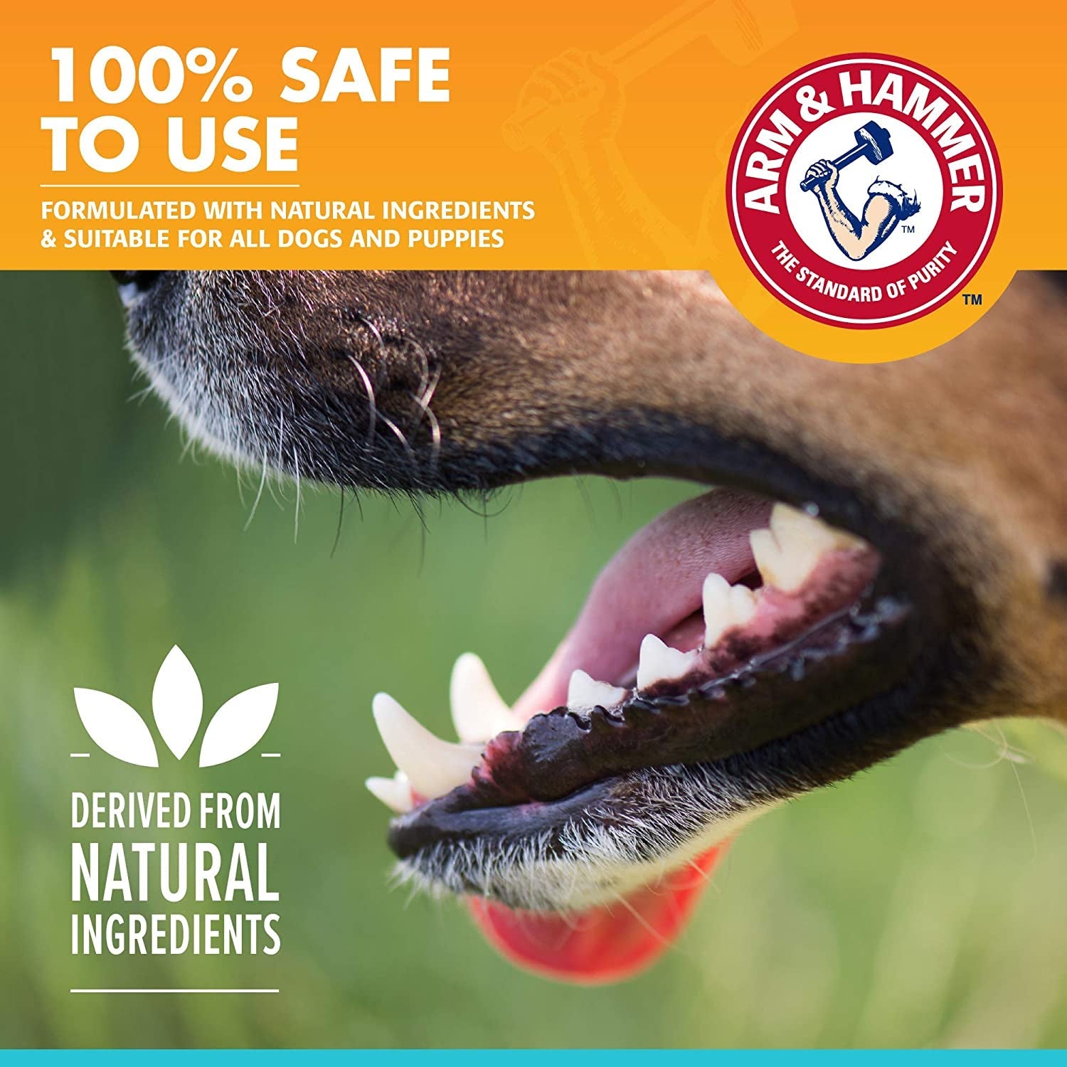 Dog Dental Spray Breath Freshener Plaque Tartar Support Mint 4oz 2 Pack