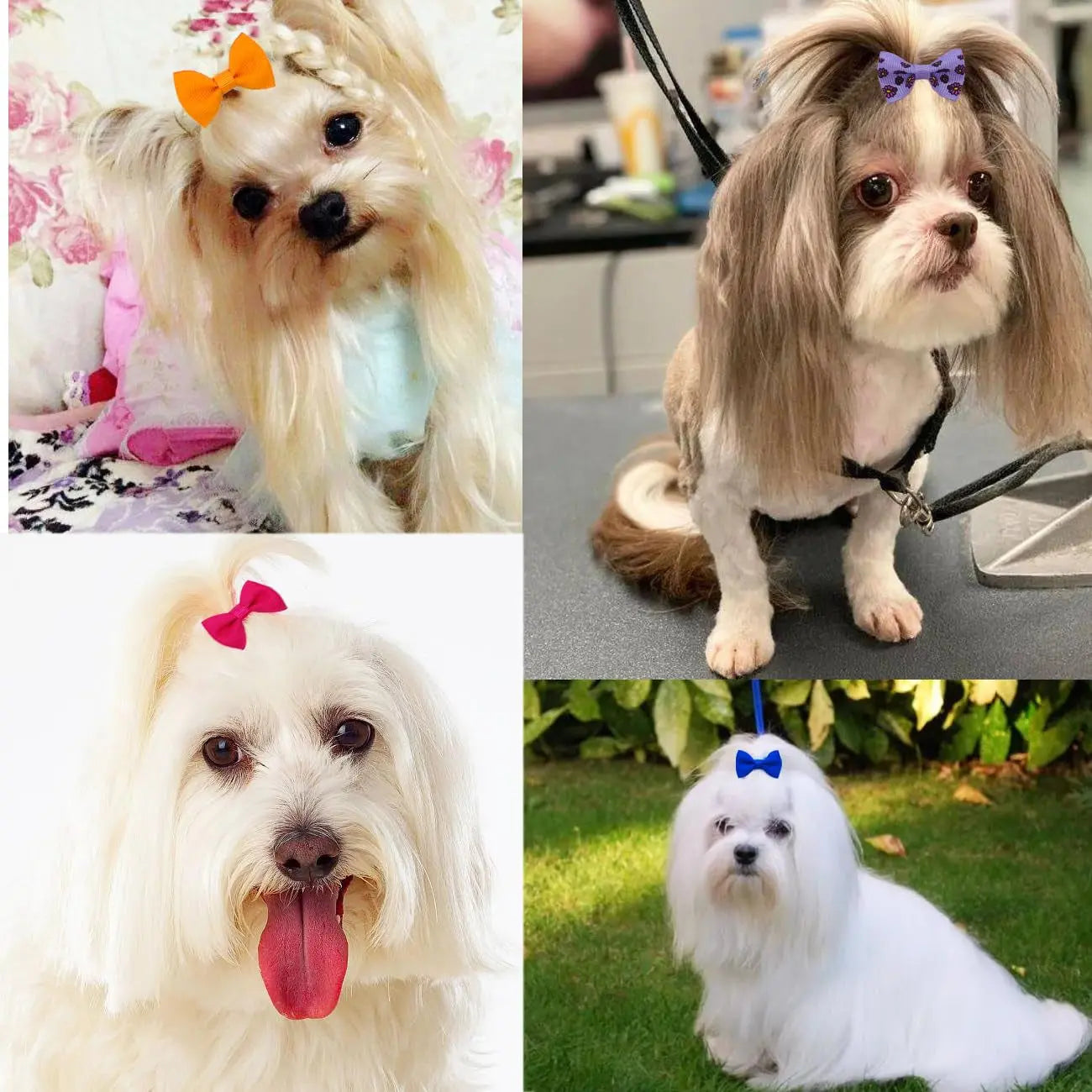 Dog Hair Bows Clips 40PCS Colorful Ribbon Accessories Small Dogs Grooming