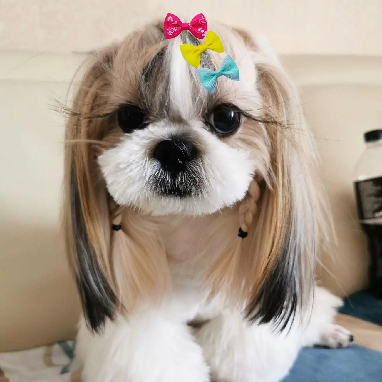 Dog Hair Bows Clips 40PCS Colorful Ribbon Accessories Small Dogs Grooming