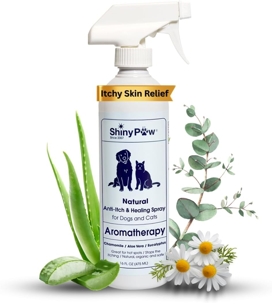 Dog Itch Spray Hot Spot Relief Aloe Eucalyptus Skin Treatment Made USA 16oz 16 Oz