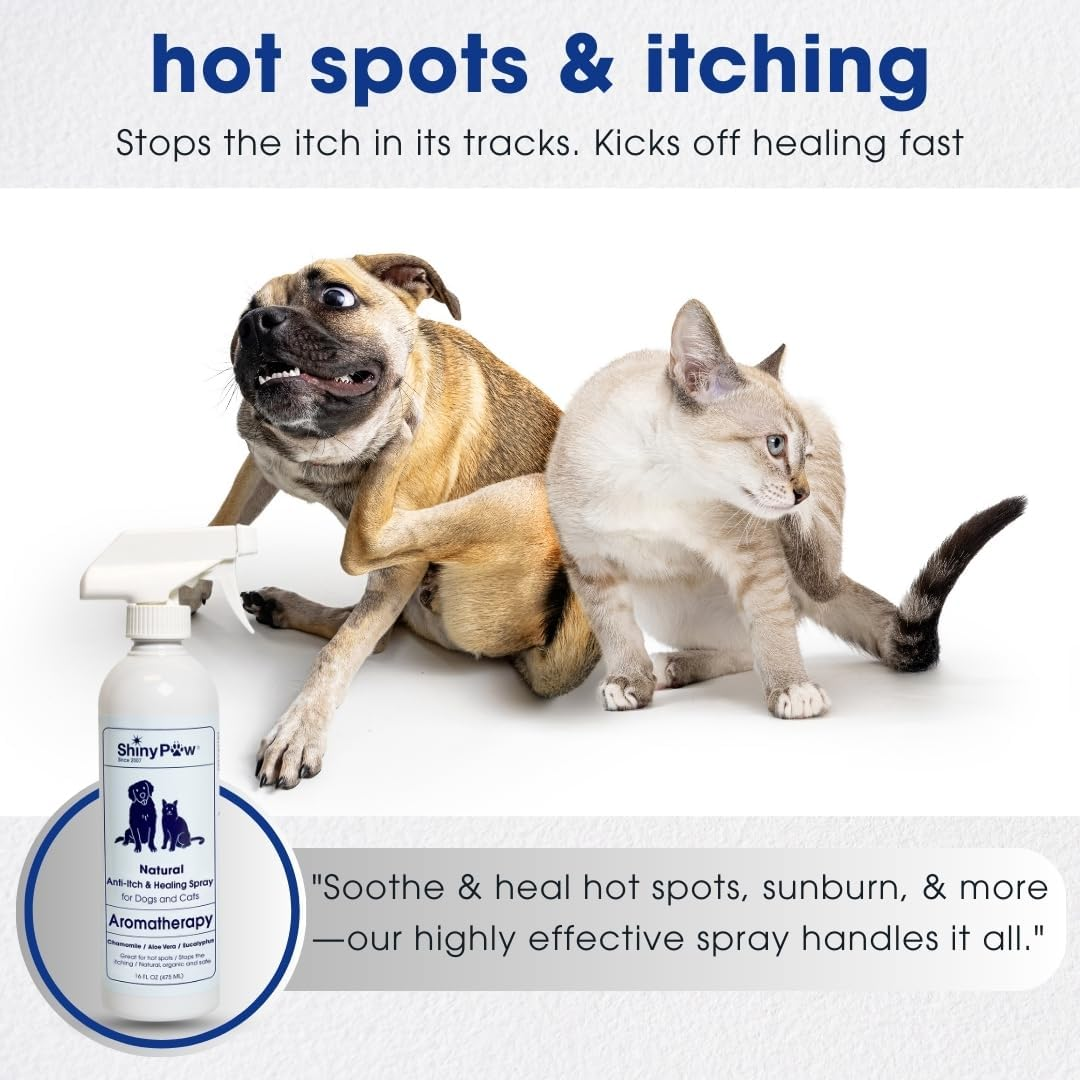 Dog Itch Spray Hot Spot Relief Aloe Eucalyptus Skin Treatment Made USA 16oz