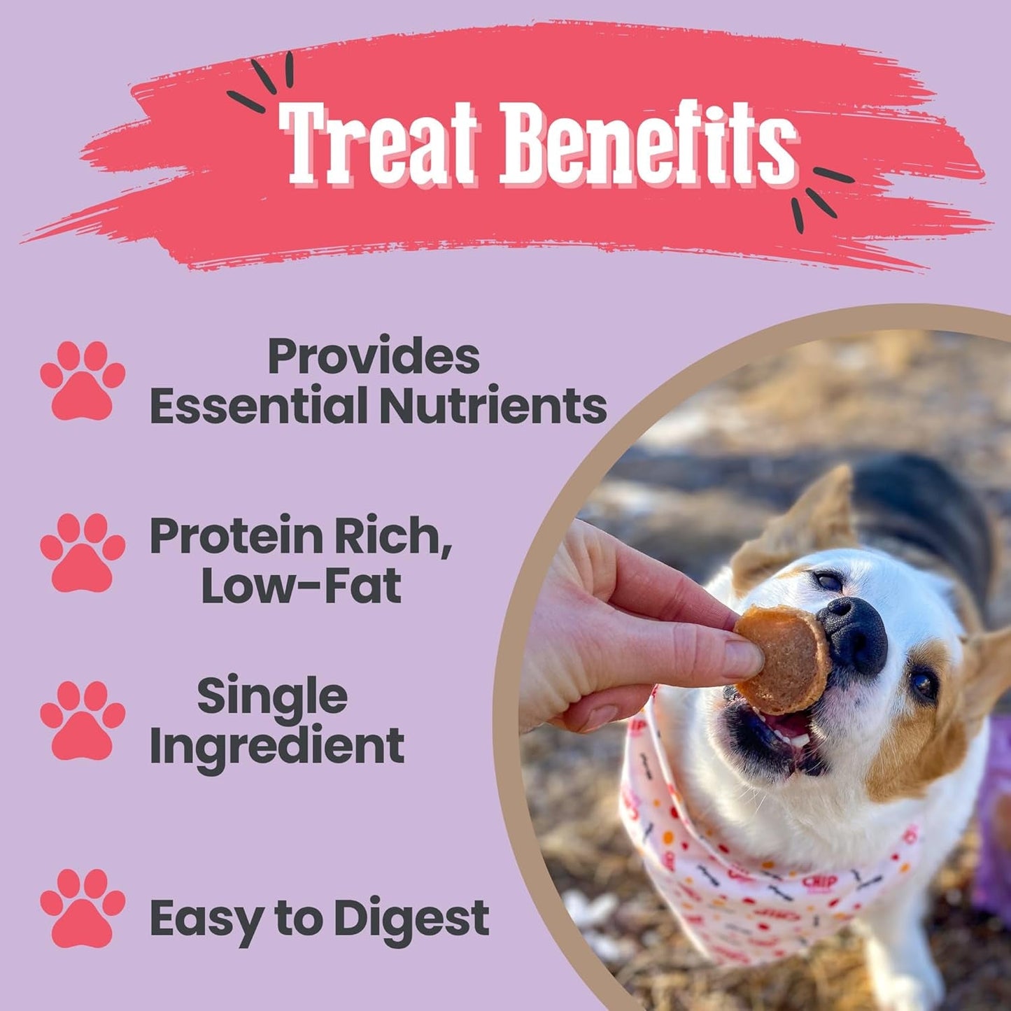 Dog Training Treats 2 Pack Chicken Turkey Single Ingredient Natural Snacks USA