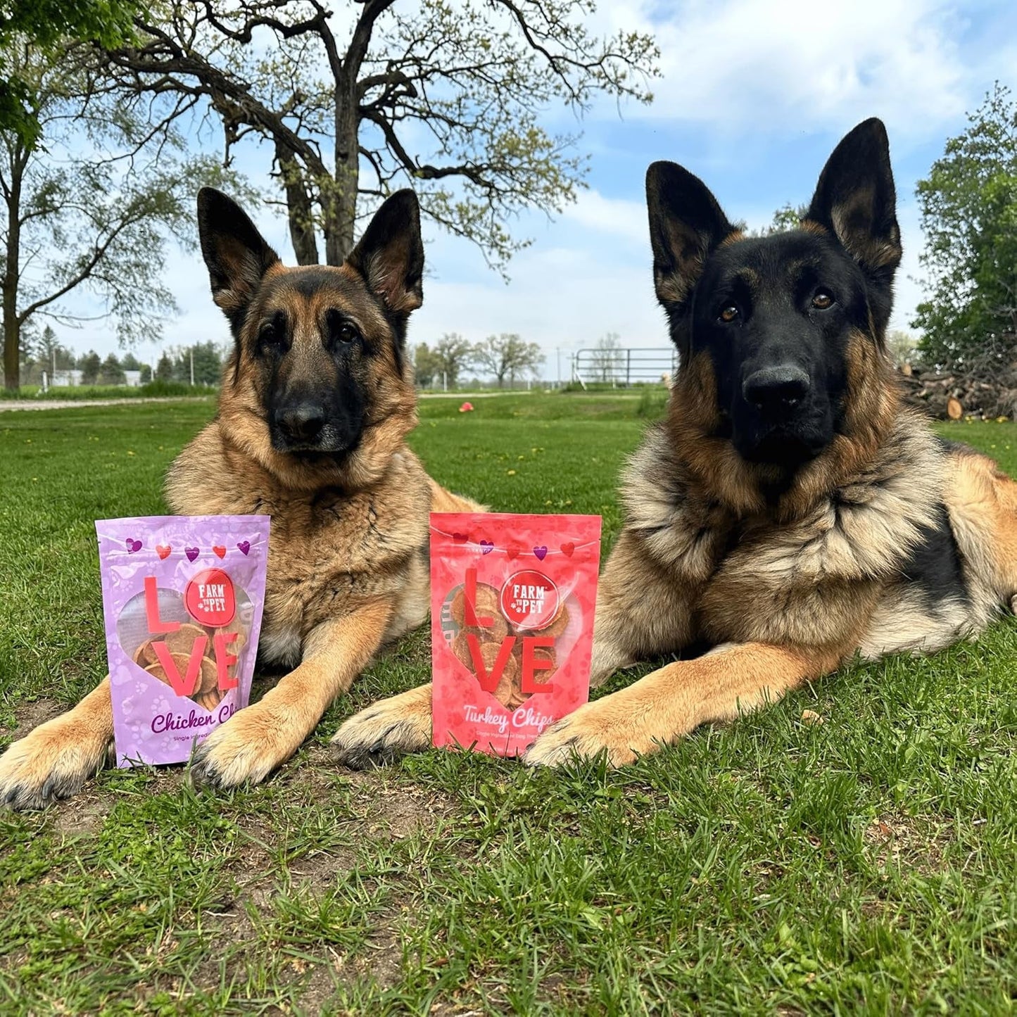 Dog Training Treats 2 Pack Chicken Turkey Single Ingredient Natural Snacks USA