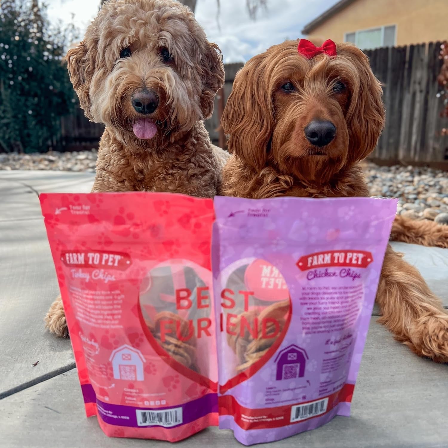 Dog Training Treats 2 Pack Chicken Turkey Single Ingredient Natural Snacks USA